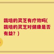 栽培的灵芝有疗效吗(栽培的灵芝对健康是否有益？)