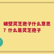 破壁灵芝孢子什么意思？什么是灵芝孢子