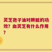灵芝孢子油对脾脏的功效？血灵芝有什么作用？