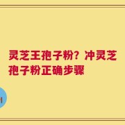 灵芝王孢子粉？冲灵芝孢子粉正确步骤