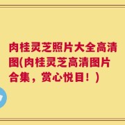 肉桂灵芝照片大全高清图(肉桂灵芝高清图片合集，赏心悦目！)