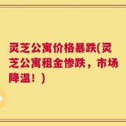 灵芝公寓价格暴跌(灵芝公寓租金惨跌，市场降温！)