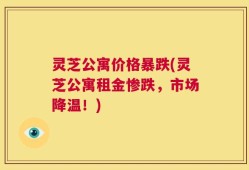 灵芝公寓价格暴跌(灵芝公寓租金惨跌，市场降温！)