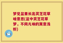 梦见盆里长出灵芝花草啥意思(盆中灵芝花草梦，不同凡响的寓意浅析)