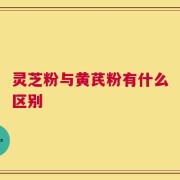 灵芝粉与黄芪粉有什么区别
