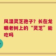 风湿灵芝孢子？长在龙眼老树上的“灵芝”能吃吗
