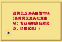 桑黄灵芝源头批发市场(桑黄灵芝源头批发市场：专业采购高品质灵芝，价格实惠！)