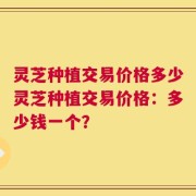 灵芝种植交易价格多少灵芝种植交易价格：多少钱一个？