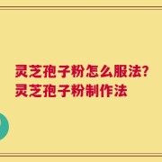 灵芝孢子粉怎么服法？灵芝孢子粉制作法