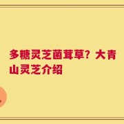 多糖灵芝菌茸草？大青山灵芝介绍
