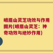 峨眉山灵芝功效与作用图片(峨眉山灵芝：神奇功效与绝妙作用)