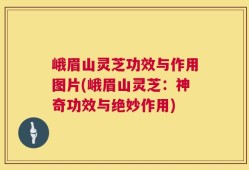 峨眉山灵芝功效与作用图片(峨眉山灵芝：神奇功效与绝妙作用)