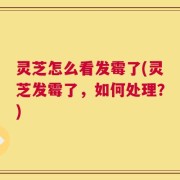 灵芝怎么看发霉了(灵芝发霉了，如何处理？)