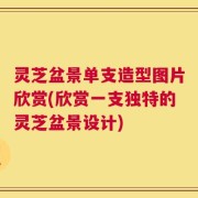 灵芝盆景单支造型图片欣赏(欣赏一支独特的灵芝盆景设计)