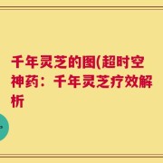 千年灵芝的图(超时空神药：千年灵芝疗效解析