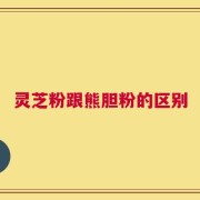 灵芝粉跟熊胆粉的区别