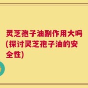 灵芝孢子油副作用大吗(探讨灵芝孢子油的安全性)
