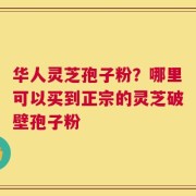 华人灵芝孢子粉？哪里可以买到正宗的灵芝破壁孢子粉