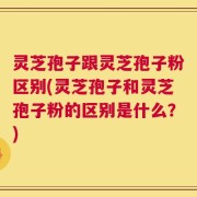 灵芝孢子跟灵芝孢子粉区别(灵芝孢子和灵芝孢子粉的区别是什么？)