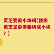 灵芝要剪小块吗(顶级灵芝是否需要切成小块？)