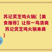 苏记灵芝鸡火锅(【美食推荐】让你一鸟清爽 苏记灵芝鸡火锅来袭)