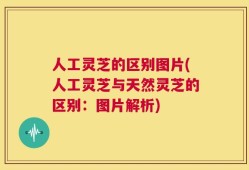 人工灵芝的区别图片(人工灵芝与天然灵芝的区别：图片解析)