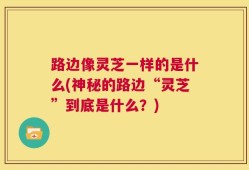 路边像灵芝一样的是什么(神秘的路边“灵芝”到底是什么？)