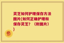 灵芝如何护理保存方法图片(如何正确护理和保存灵芝？（附图片）)