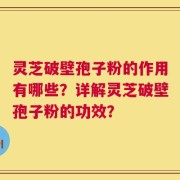 灵芝破壁孢子粉的作用有哪些？详解灵芝破壁孢子粉的功效？