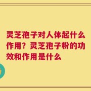 灵芝孢子对人体起什么作用？灵芝孢子粉的功效和作用是什么