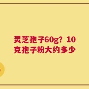 灵芝孢子60g？10克孢子粉大约多少