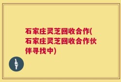 石家庄灵芝回收合作(石家庄灵芝回收合作伙伴寻找中)