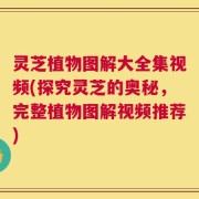 灵芝植物图解大全集视频(探究灵芝的奥秘，完整植物图解视频推荐)