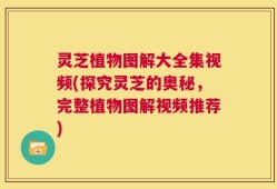 灵芝植物图解大全集视频(探究灵芝的奥秘，完整植物图解视频推荐)
