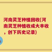 河南灵芝种植回收(河南灵芝种植收成大丰收，创下历史记录)