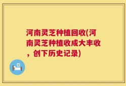 河南灵芝种植回收(河南灵芝种植收成大丰收，创下历史记录)