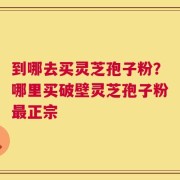 到哪去买灵芝孢子粉？哪里买破壁灵芝孢子粉最正宗