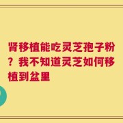 肾移植能吃灵芝孢子粉？我不知道灵芝如何移植到盆里