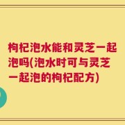 枸杞泡水能和灵芝一起泡吗(泡水时可与灵芝一起泡的枸杞配方)