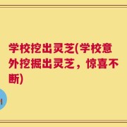 学校挖出灵芝(学校意外挖掘出灵芝，惊喜不断)