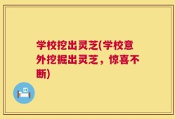 学校挖出灵芝(学校意外挖掘出灵芝，惊喜不断)