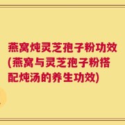 燕窝炖灵芝孢子粉功效(燕窝与灵芝孢子粉搭配炖汤的养生功效)