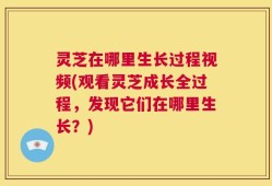 灵芝在哪里生长过程视频(观看灵芝成长全过程，发现它们在哪里生长？)