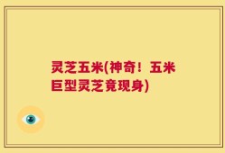 灵芝五米(神奇！五米巨型灵芝竟现身)