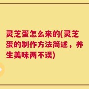 灵芝蛋怎么来的(灵芝蛋的制作方法简述，养生美味两不误)