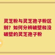 灵芝粉与灵芝孢子粉区别？如何分辨破壁和没破壁的灵芝孢子粉