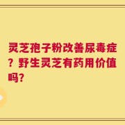 灵芝孢子粉改善尿毒症？野生灵芝有药用价值吗？