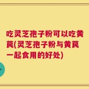 吃灵芝孢子粉可以吃黄苠(灵芝孢子粉与黄苠一起食用的好处)