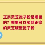 正宗灵芝孢子粉是哪里的？哪里可以买到正宗的灵芝破壁孢子粉