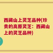 西藏山上灵芝品种(珍贵的高原灵芝：西藏山上的灵芝品种)